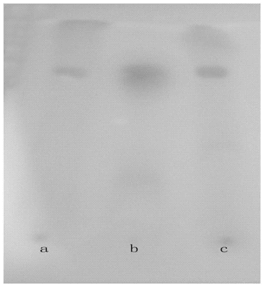 Method for extracting buckwheat flavone from buckwheat bran