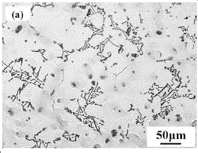 Magnesium-strontium-rare earth interalloy and preparation method thereof