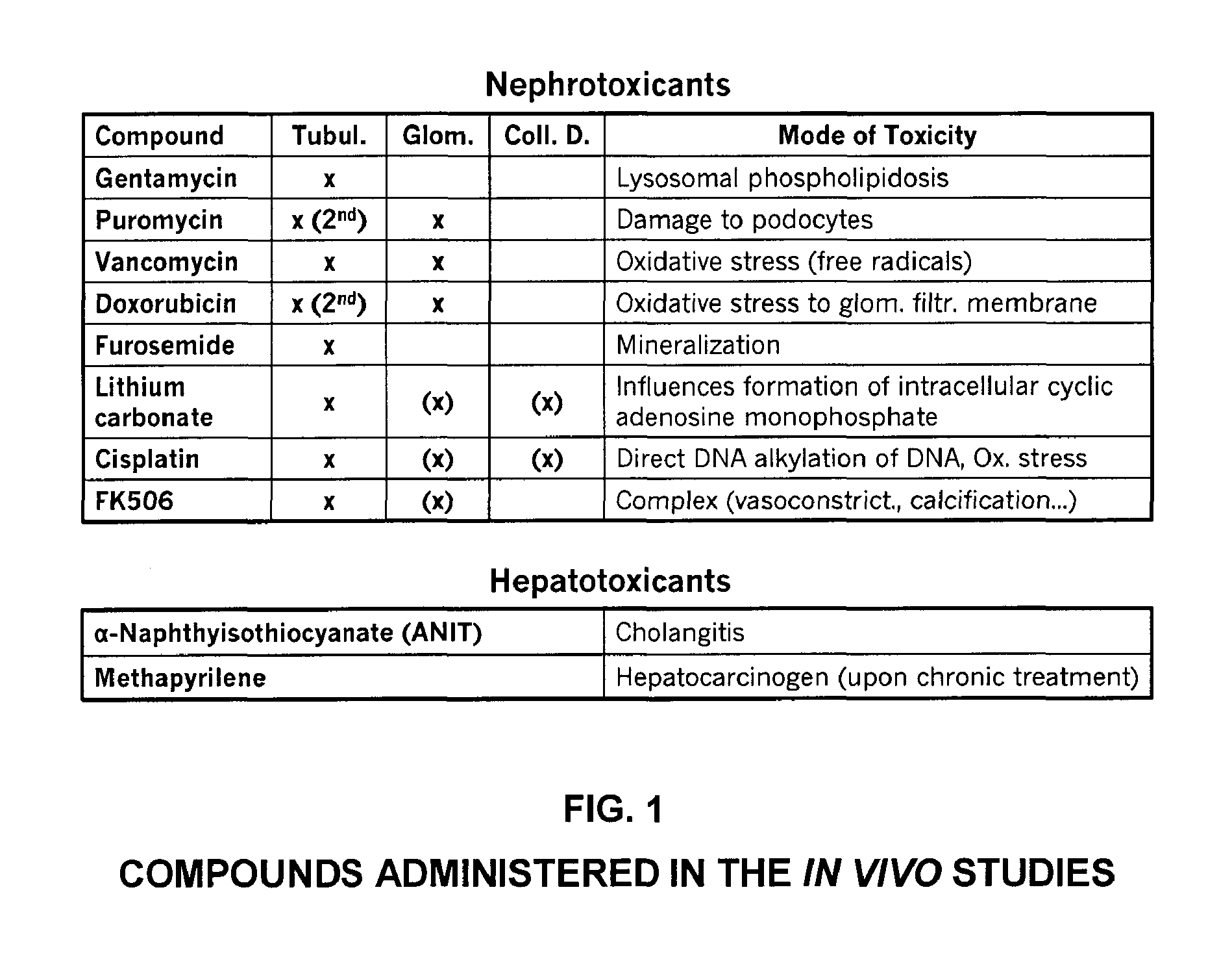 Use of beta-2-microglobulin to assess glomerular alterations and damage in the kidney