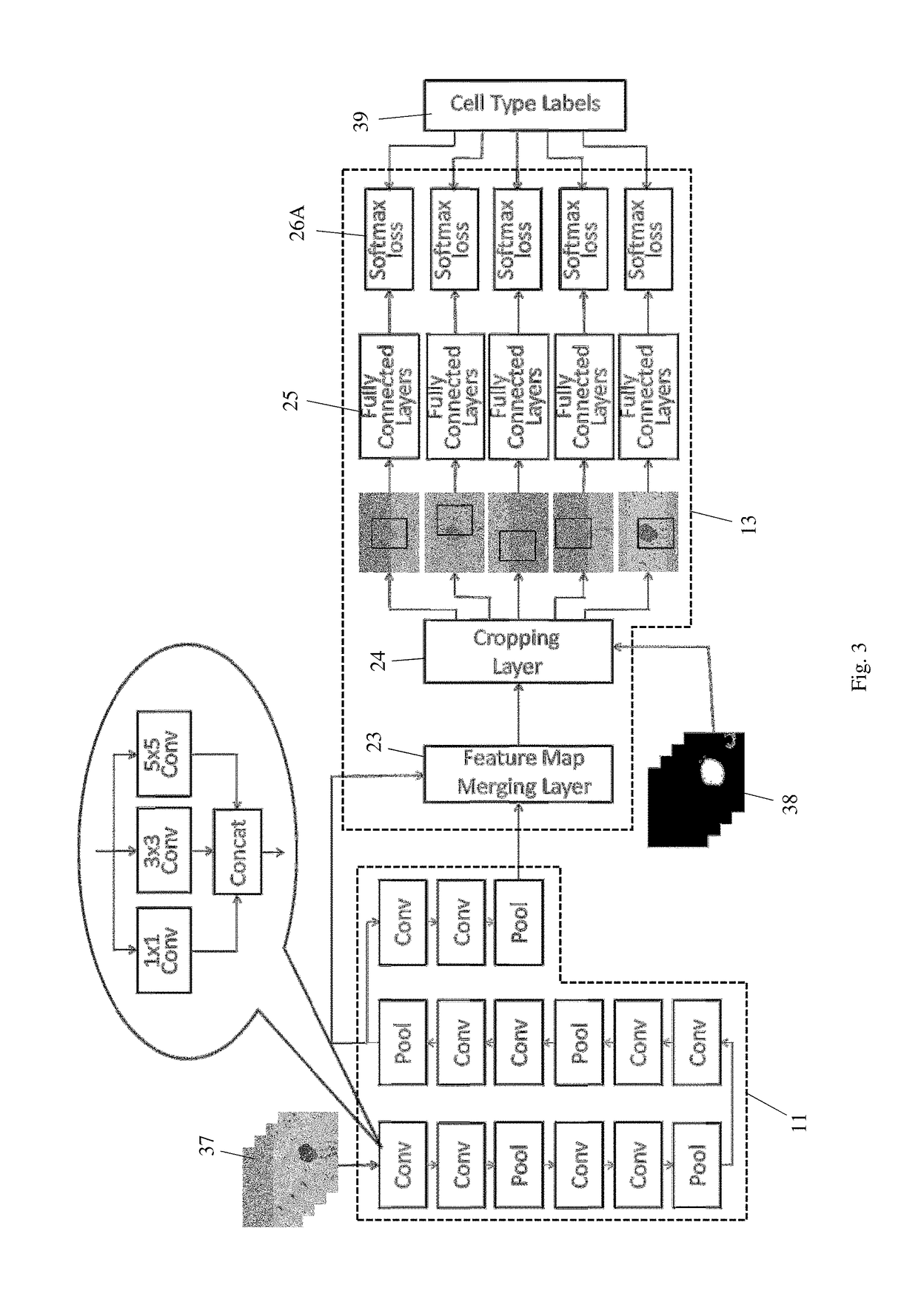 Method and system for detection and classification of cells using convolutional neural networks