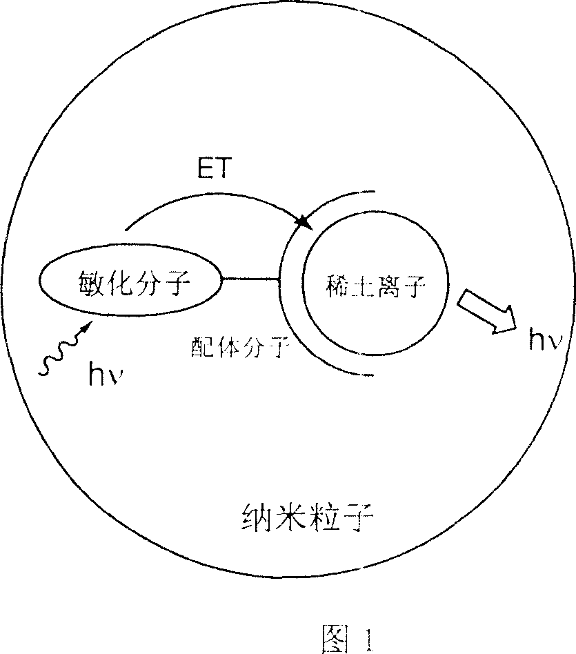 Rare-earth nano luninous particle based on fluorescent energy transfer principle and its preparing method