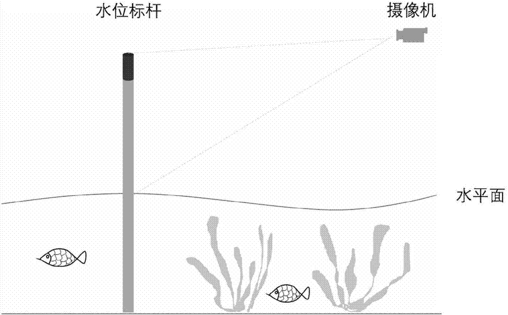 Real-time level monitoring method based on image processing