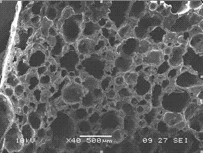 Ethylene propylene diene terpolymer sponge rubber and preparation method thereof