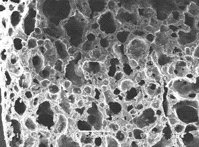 Ethylene propylene diene terpolymer sponge rubber and preparation method thereof