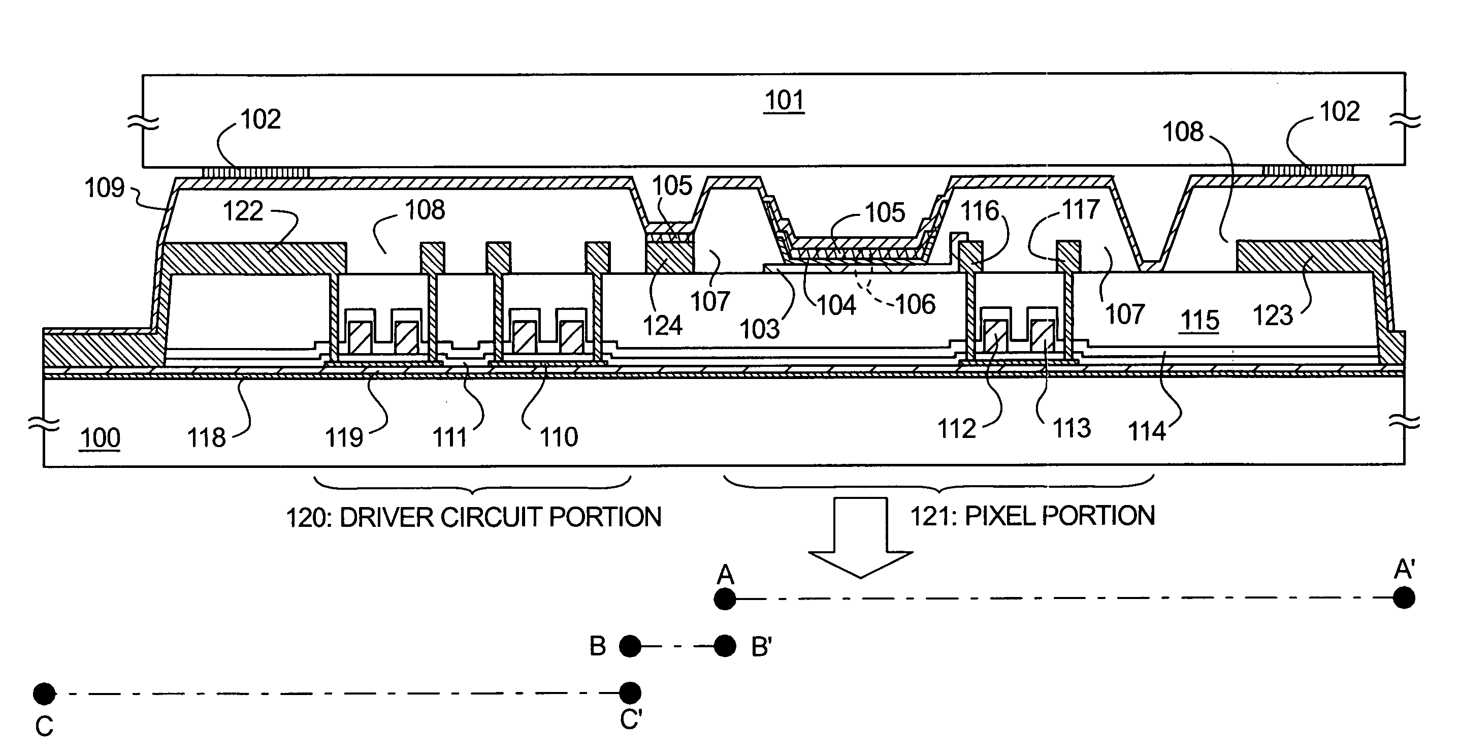 Display device with sealing structure for protecting organic light emitting element