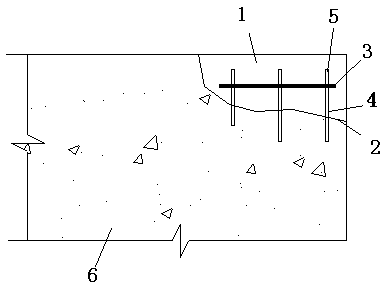 Repair and reinforcement construction methods for segments in formed tunnel