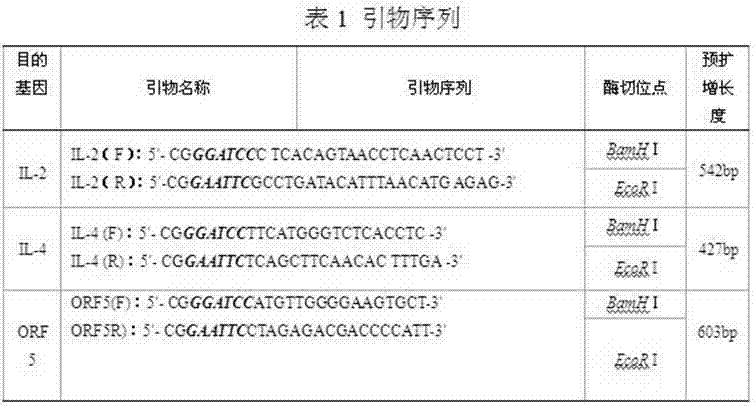 Nucleic acid vaccine, immunoadjuvant of nucleic acid vaccine, and preparation methods of nucleic acid vaccine and immunoadjuvan