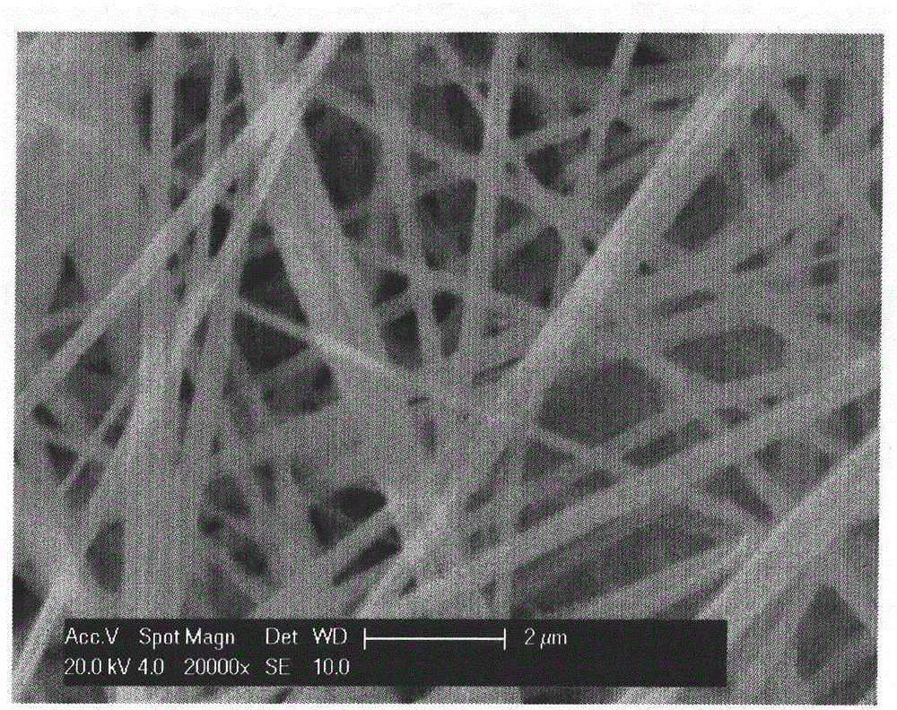 Nanofiber vascular prostheses and preparation method