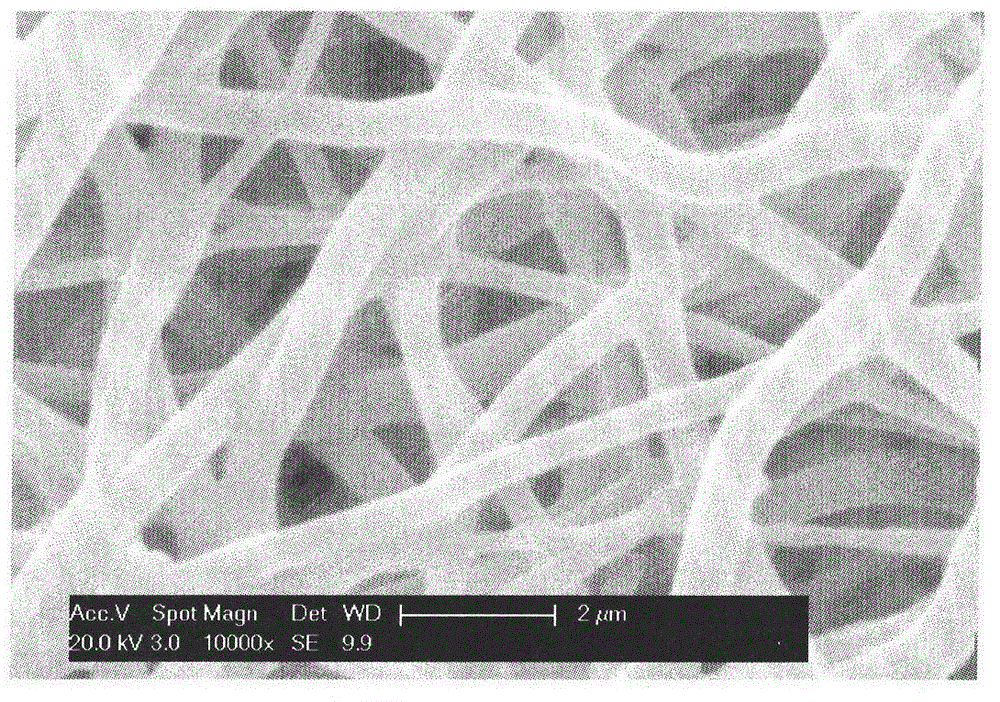 Nanofiber vascular prostheses and preparation method