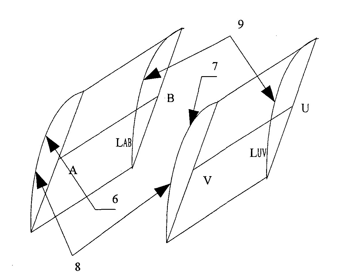 Five-coordinate plunge milling machining method of closed type bladed disc