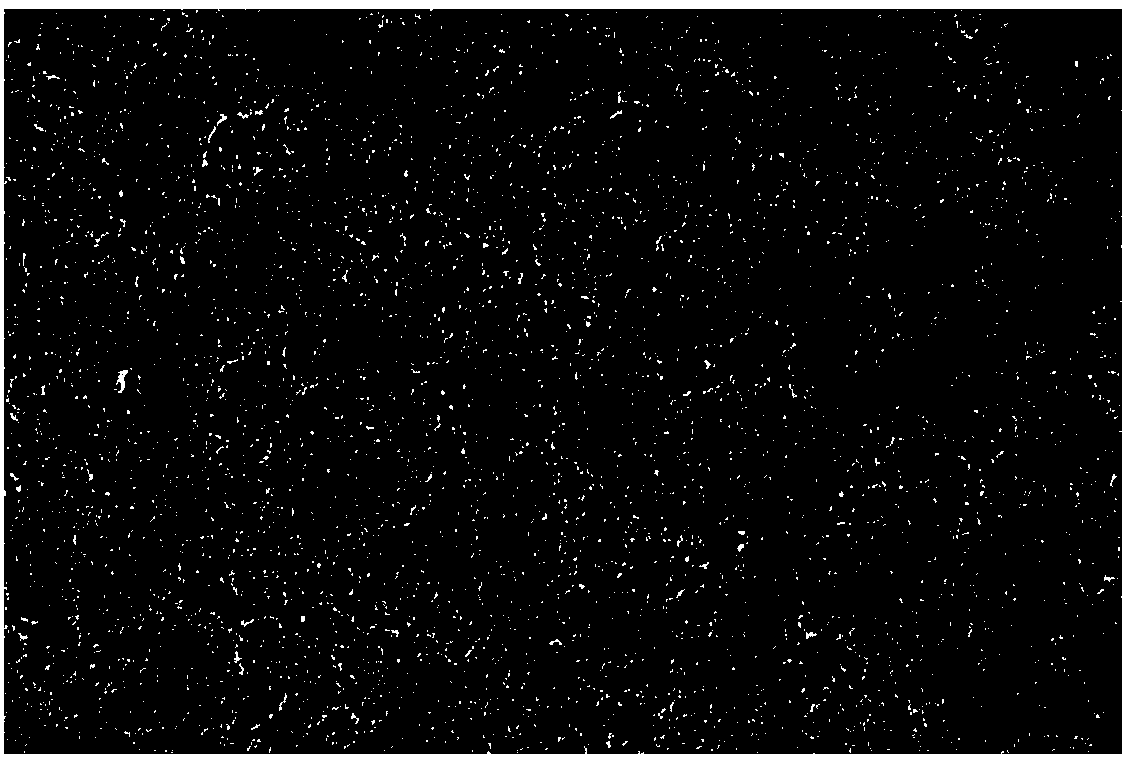 Quantum dot light emitting diode based on yttrium-doped zinc oxide electron transport layer and preparation method thereof