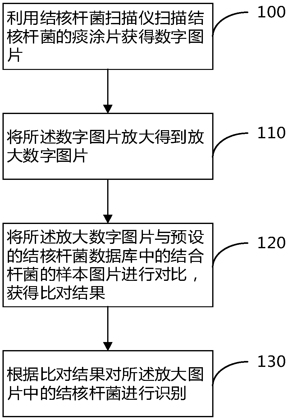 Method and device for recognizing tuberculosis bacillus