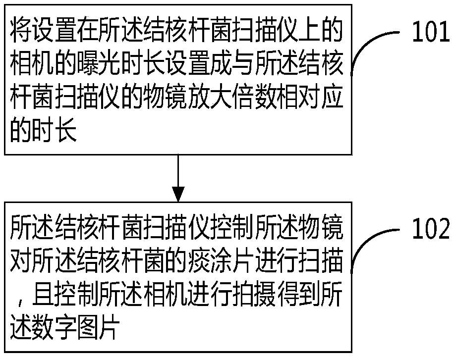 Method and device for recognizing tuberculosis bacillus