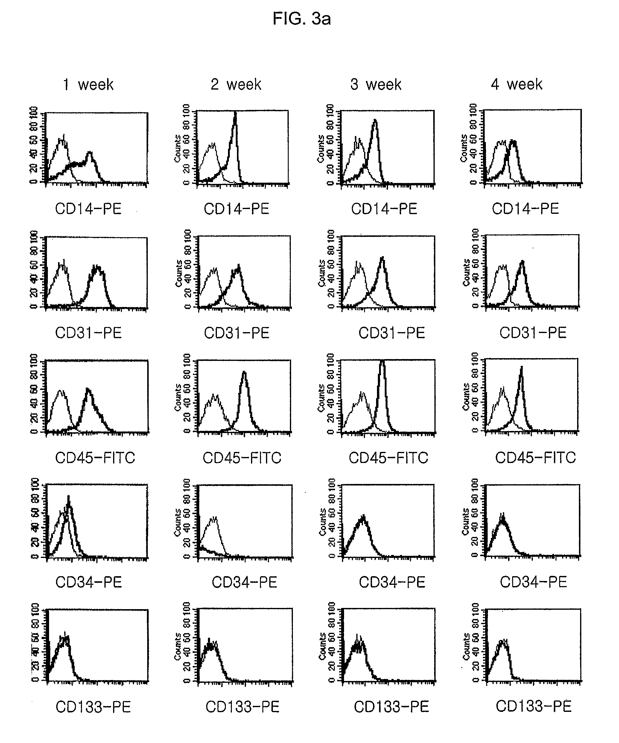 Method for isolating and culturing multipotent progenitor/stem cells from umbilical cord blood and method for inducing differentiation thereof