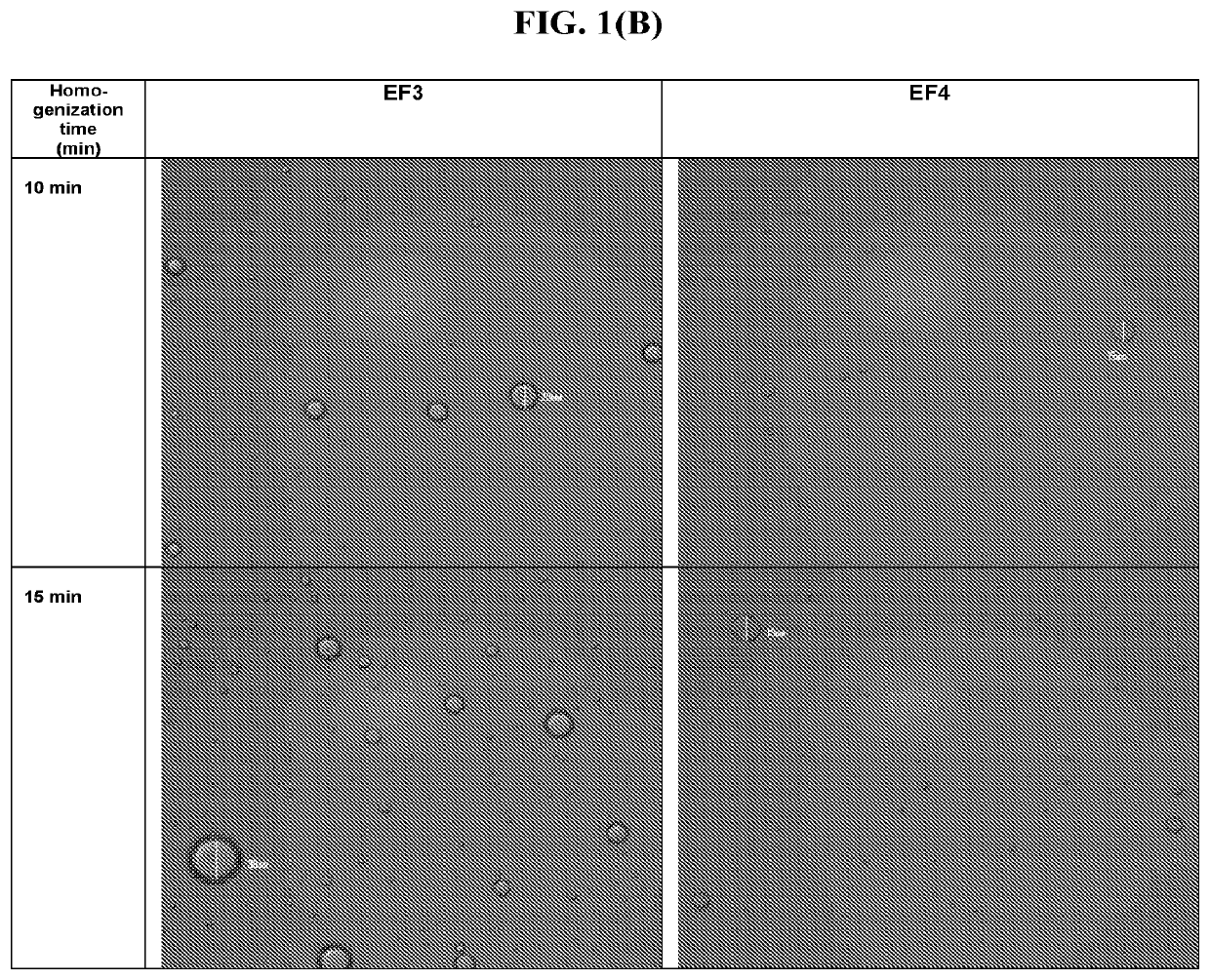 Pharmaceutical compositions for the treatment of ophthalmic conditions