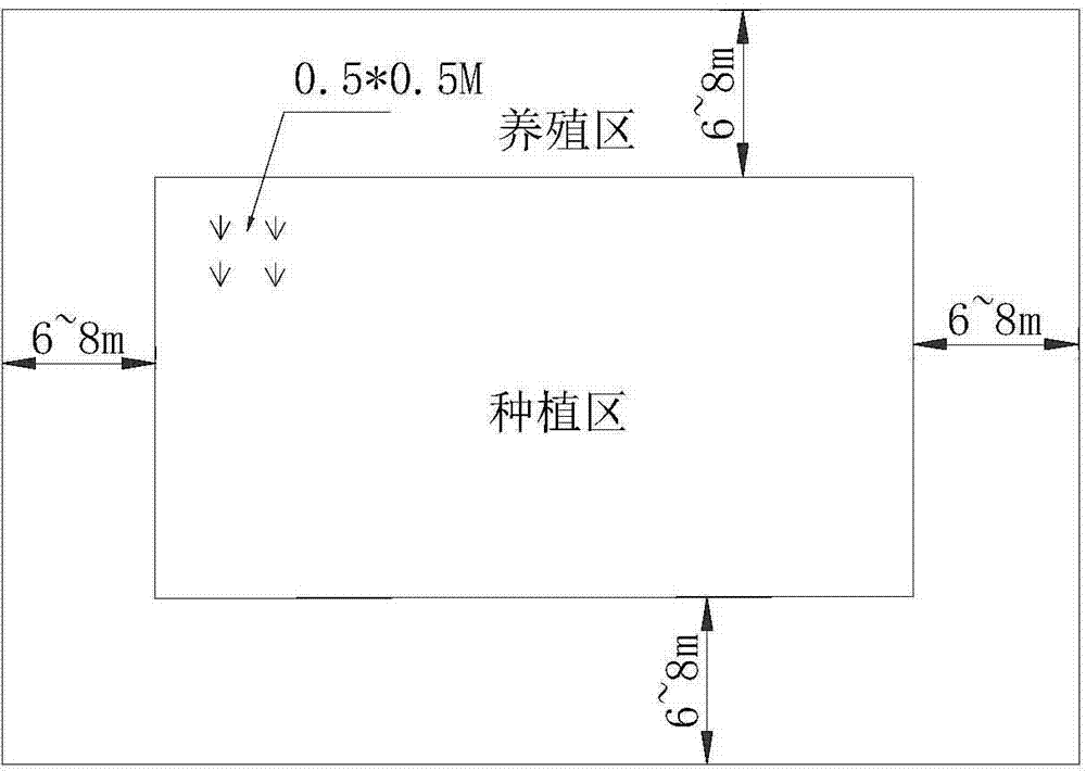 In-situ purification and ecological comprehensive utilization method for freshwater aquaculture pond