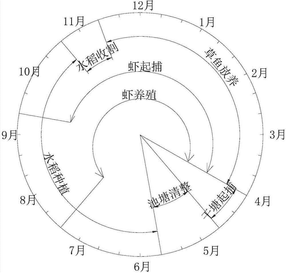 In-situ purification and ecological comprehensive utilization method for freshwater aquaculture pond