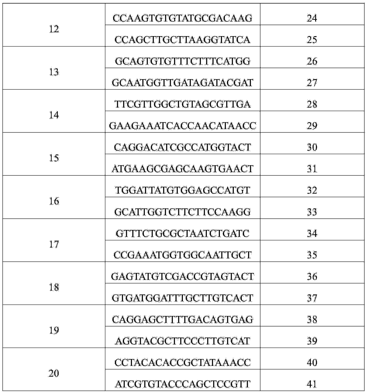 Molecular marker SIsv0163 closely linked to grain imazethapyr-resisting herbicide gene