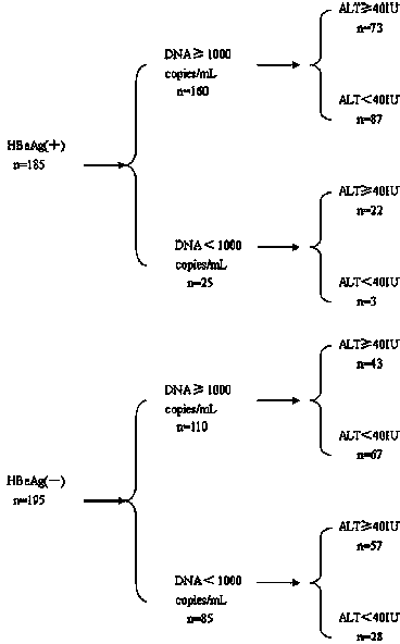 DC cell-based hepatitis B virus T epitope peptide