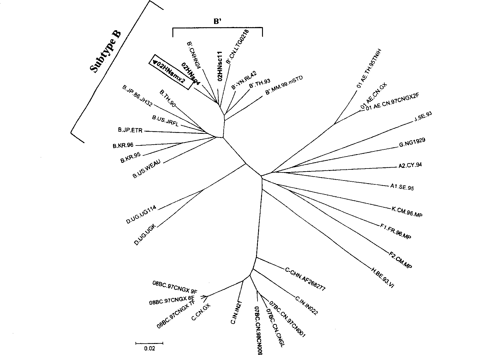 Hybridization immune deficiency virus strain and application