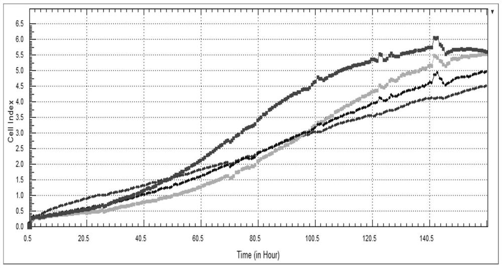 Chinese lung squamous carcinoma cell line and application thereof