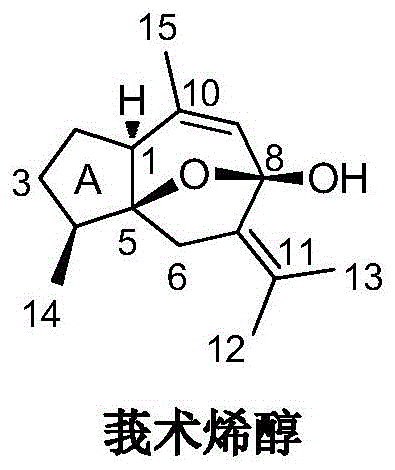 Curcumenol microbial transformation derivatives, preparation method and use thereof