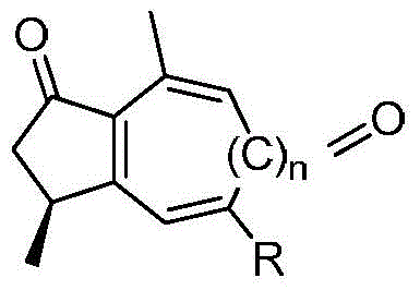 Curcumenol microbial transformation derivatives, preparation method and use thereof