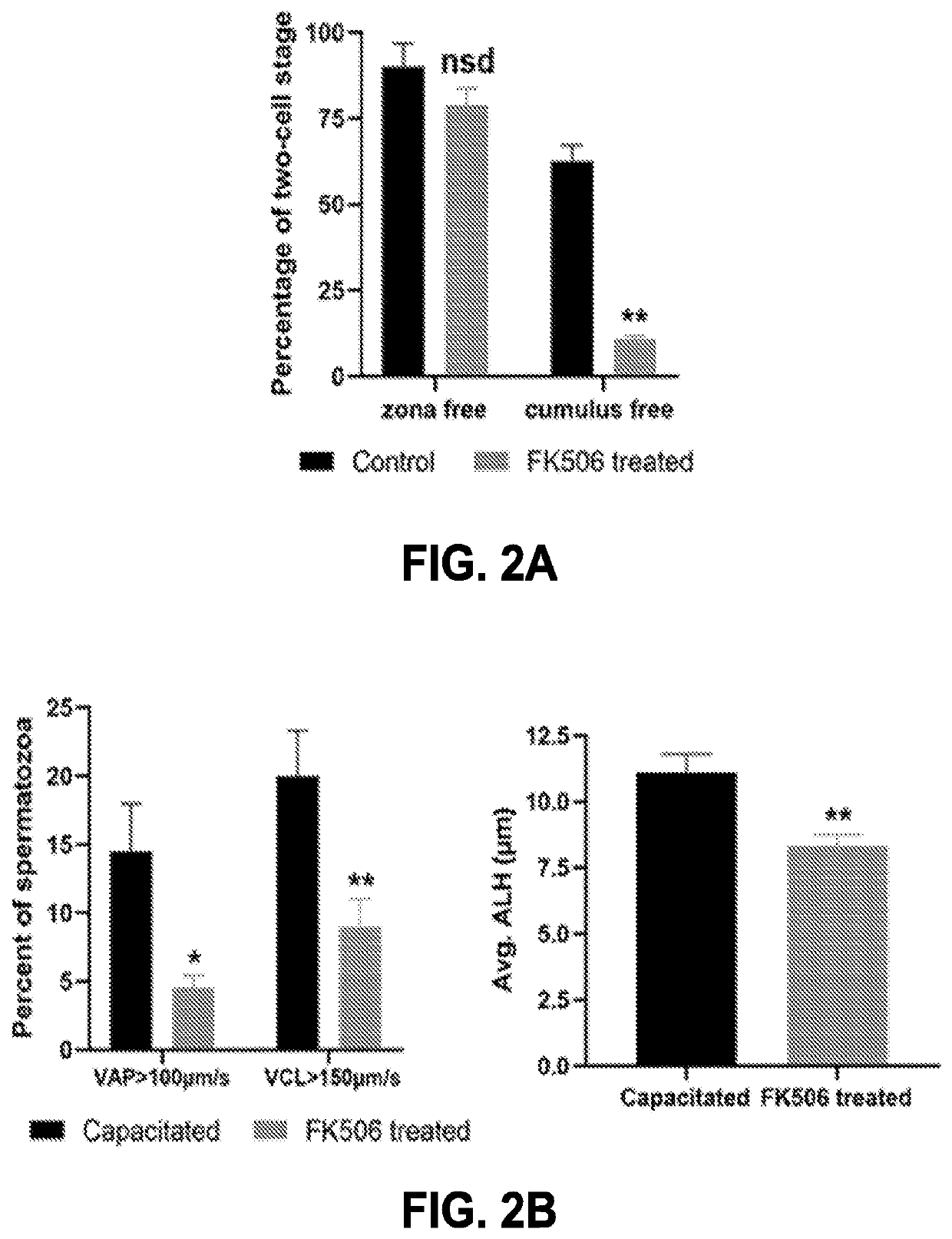 Compositions targeting sperm calcineurin