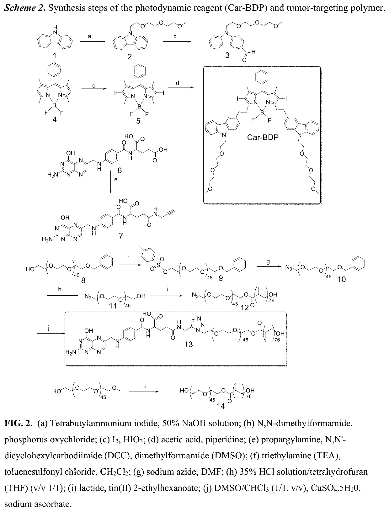 Ultralow-power near infrared lamp light operable targeted organic nanoparticle photodynamic therapy