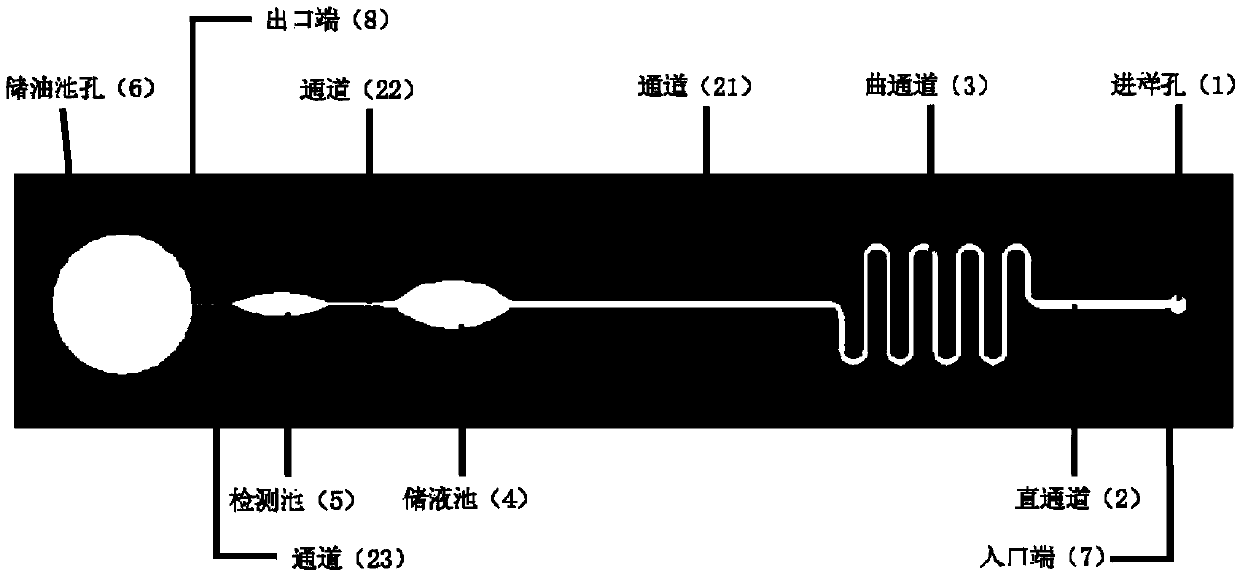 Method of forming and separately exporting single particle wrapped drop in micro-fluidic chip