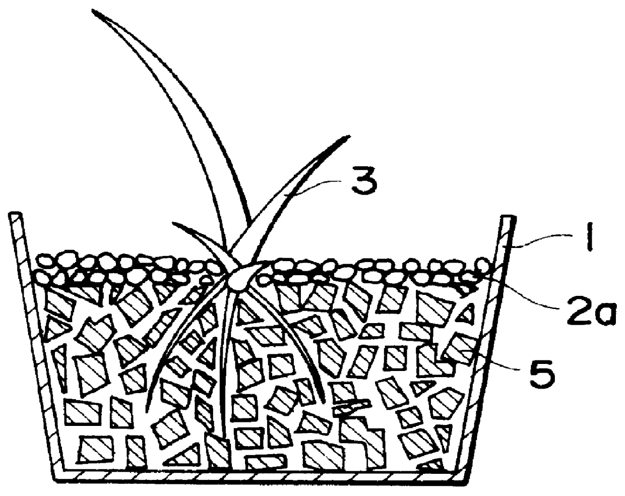 Support for cultivating plant