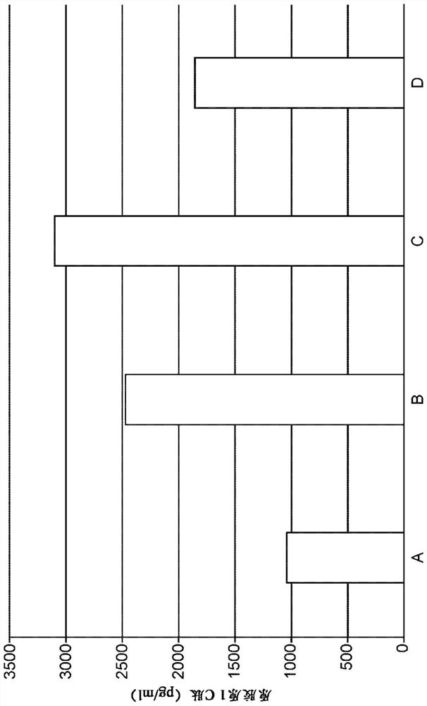 Recombinant elastin and production thereof