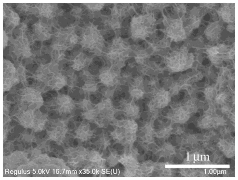 Microspherical Fe-doped nickel disulfide nanostructure material composed of nanosheets, preparation method and application