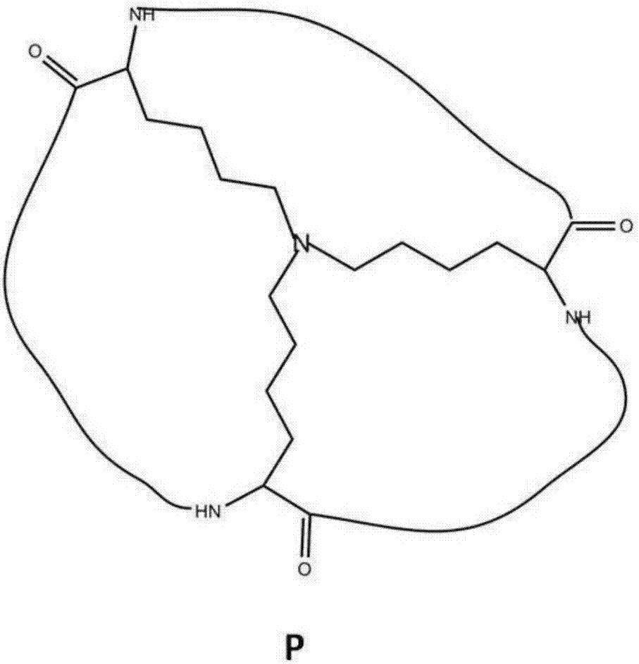 Preparation method of quantum point, application method and quantum point product