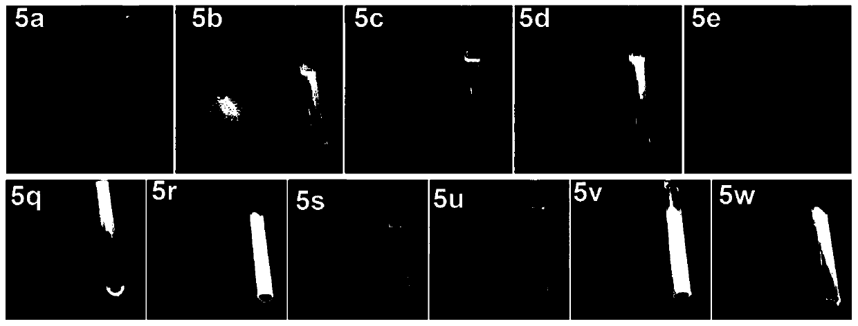 A class of naphthoquinone pyranoindole derivatives, preparation method and applications thereof