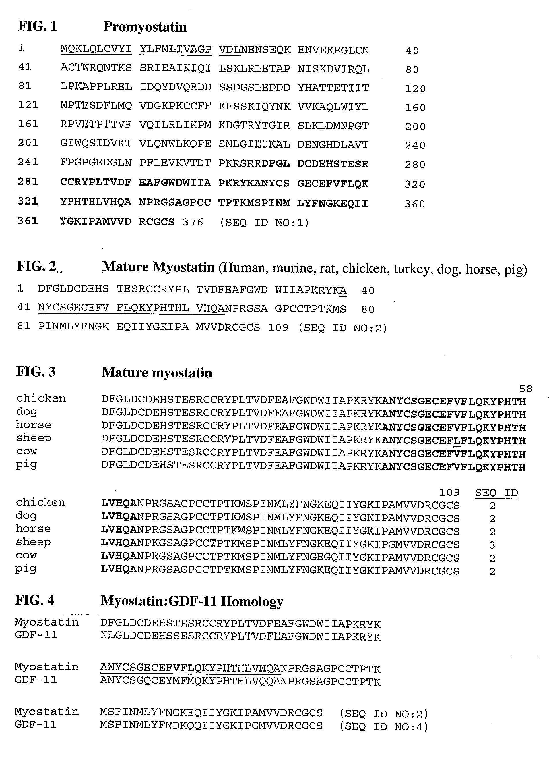 Anti-myostatin antibodies