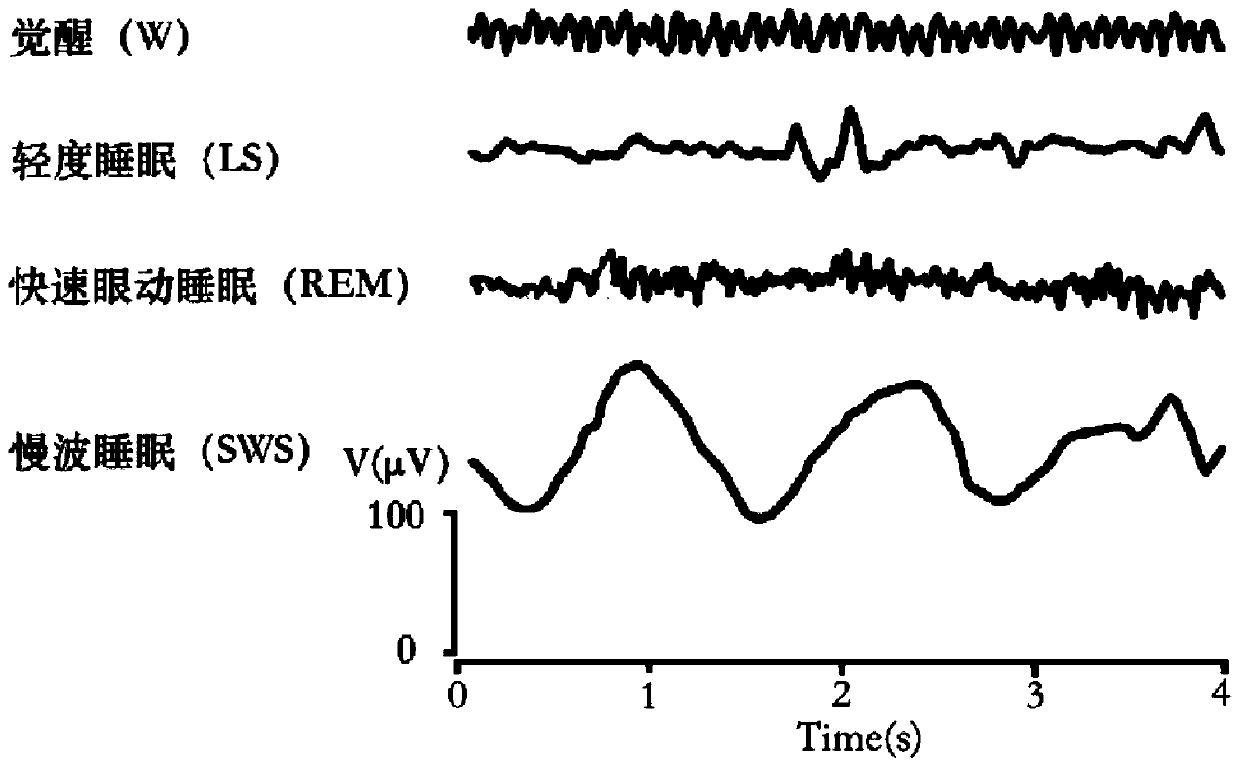 User sleep detection method and system