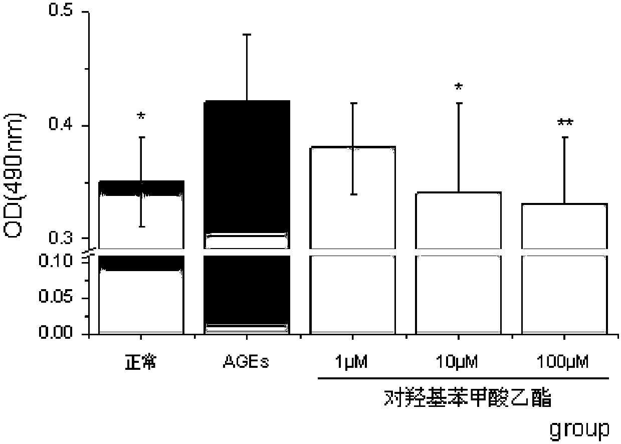 Application of Ethyl p-Hydroxybenzoate in Pharmaceuticals