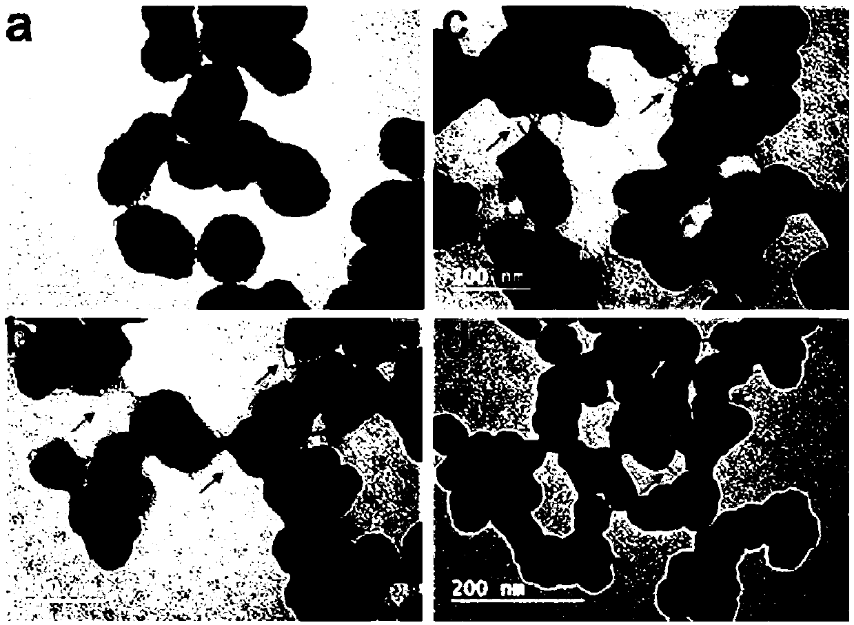 Application of DNA immunosorbent in preparation of ds-DNA antibody detection reagents