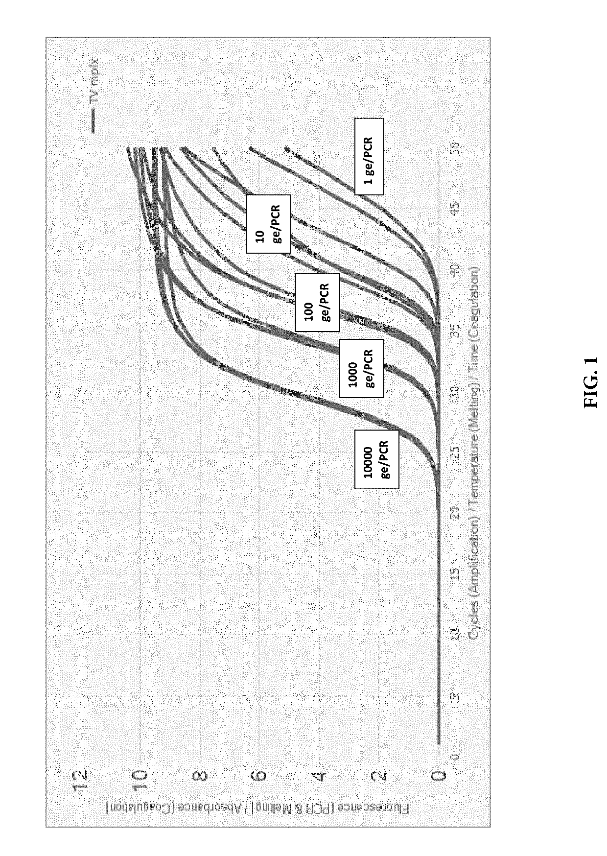 Compositions and methods for detection of trichomonas vaginalis