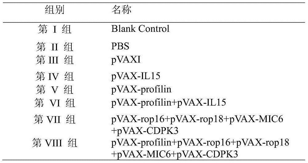 Nucleotide sequence for preventing infection of toxoplasmas and application of nucleotide sequence