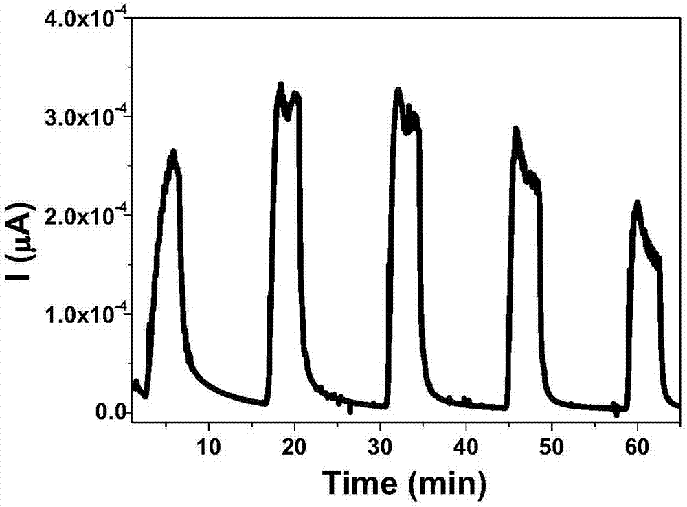 NO2 chemical resistance type gas sensor and preparation method thereof