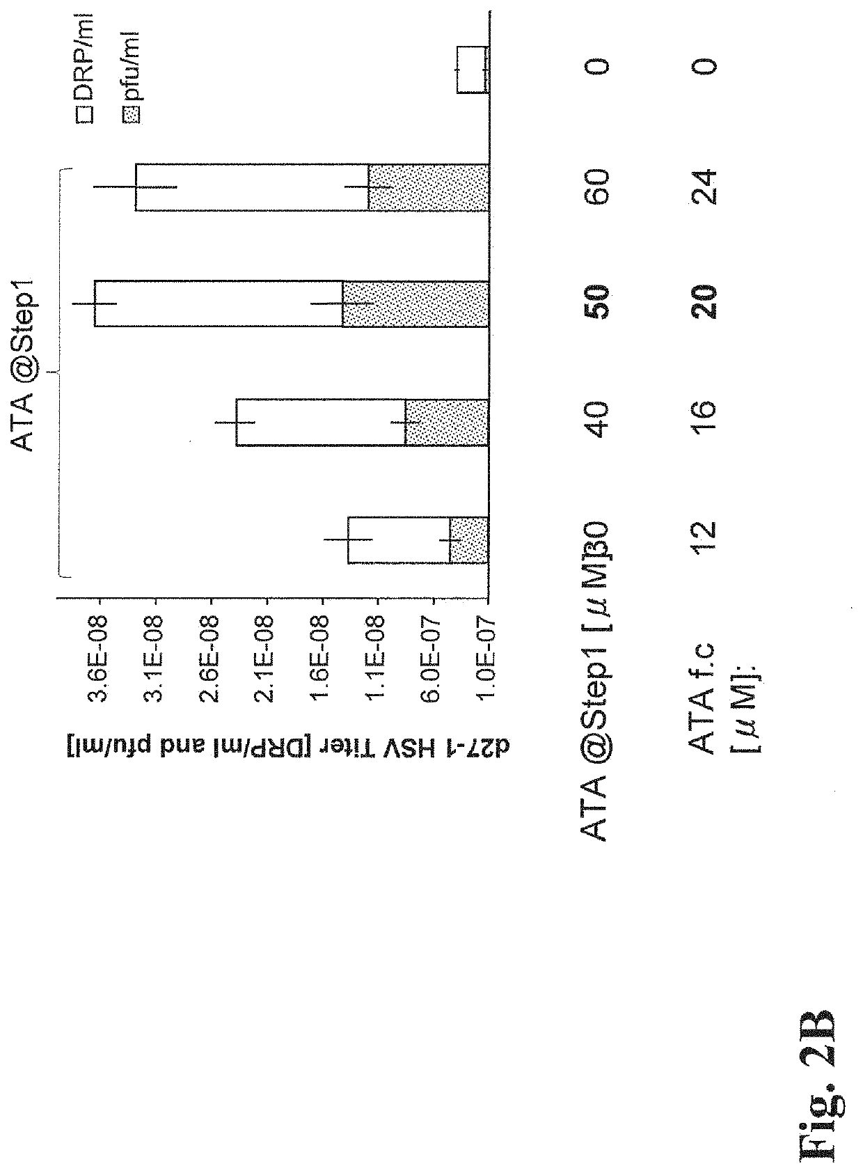 USE OF iNOS INHIBITORS TO INCREASE VIRAL YIELD IN CULTURE