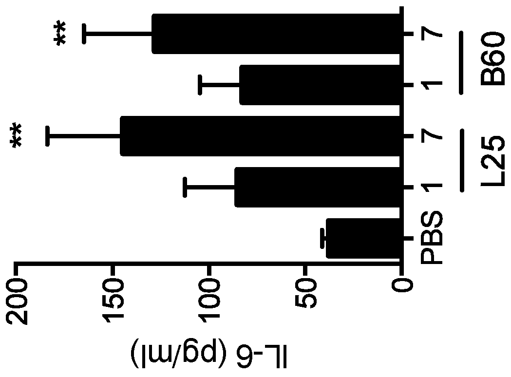 Biomaterials for modulating immune responses