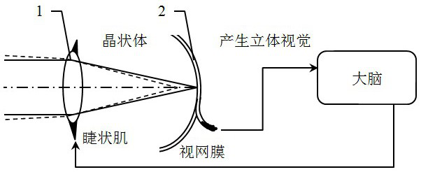 Naked eye 3D local holographic display method