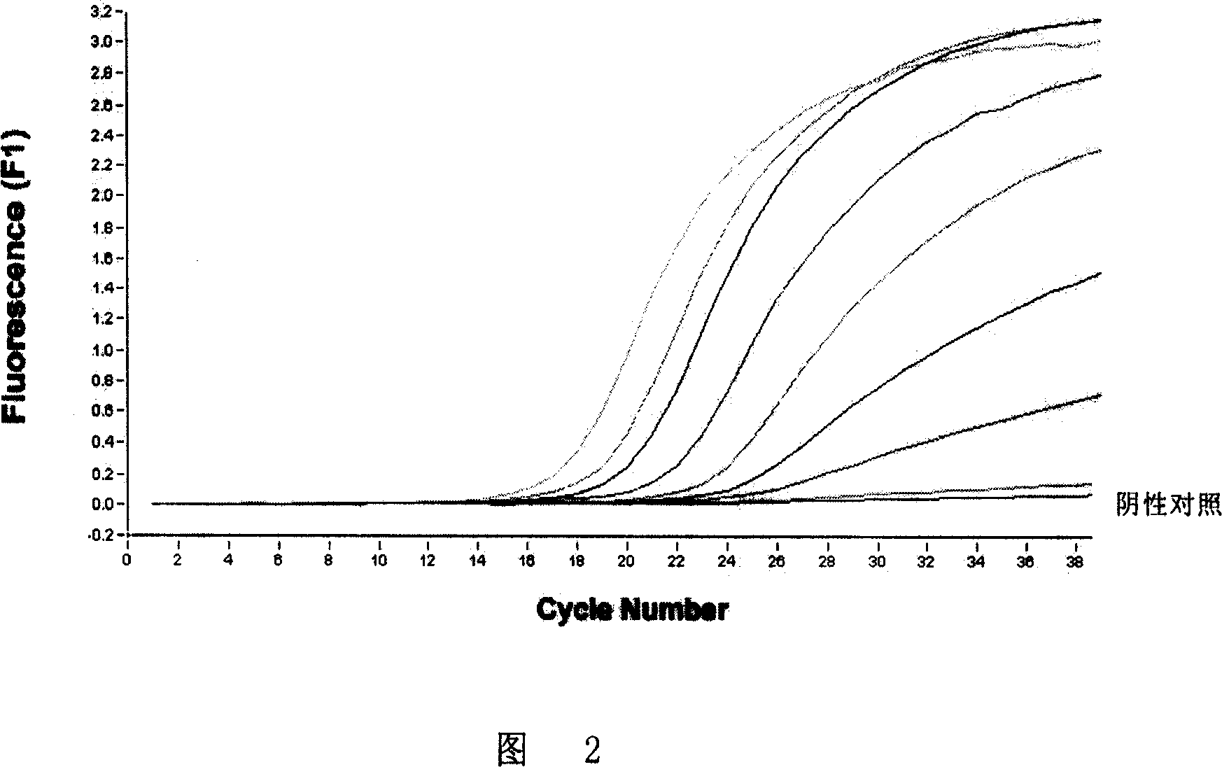 Nucleotide sequence, method and agent case for detecting bovine spongiform encephalitis specific risk substance in beef