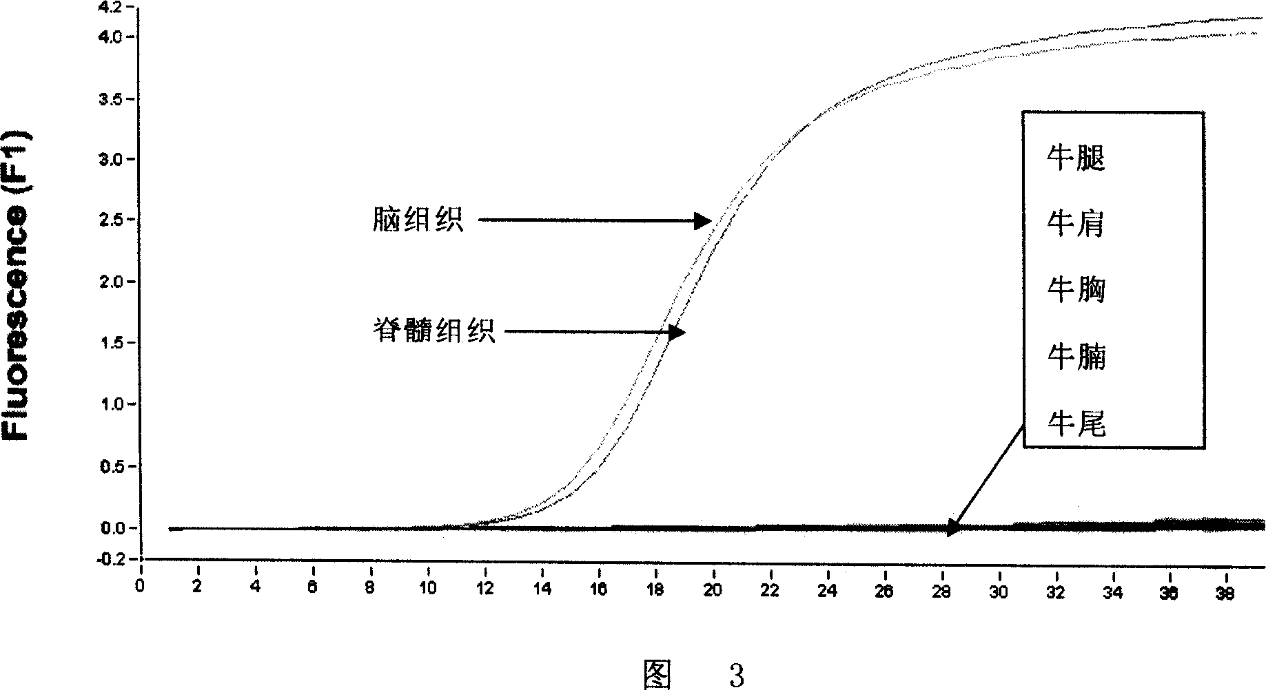 Nucleotide sequence, method and agent case for detecting bovine spongiform encephalitis specific risk substance in beef