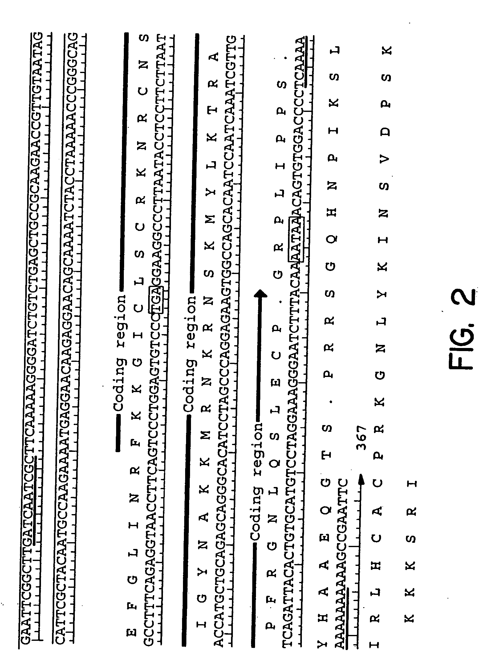 Compositions and methods for effecting the levels of high density lipoprotein (HDL) cholesterol and apolipoprotein Al, very low density lipoprotein (VLDL) cholesterol and low density lipoprotein (LDL) cholesterol