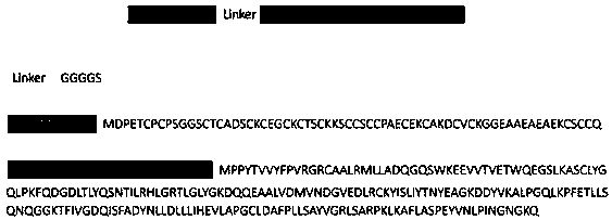 Preparation and application of mitochondrial-targeting self-assembled protein nanoparticles