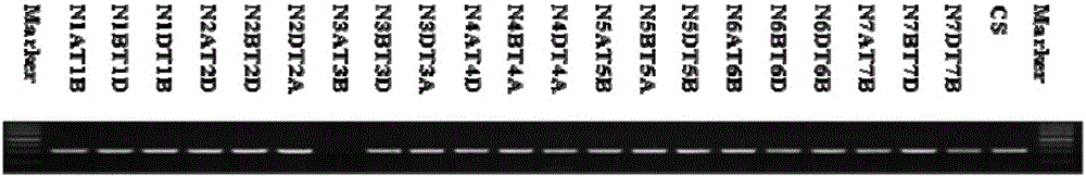 A Na&lt;+&gt;/H+ antiporter gene and applications thereof